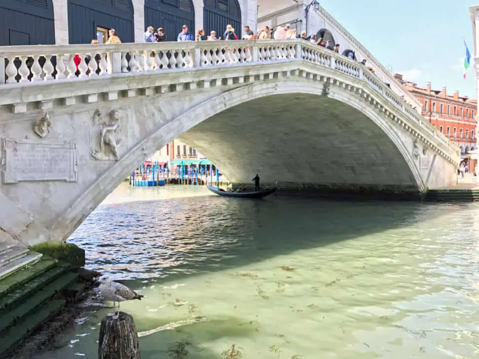 Is Venice Worth Visiting The Rialto Bridge