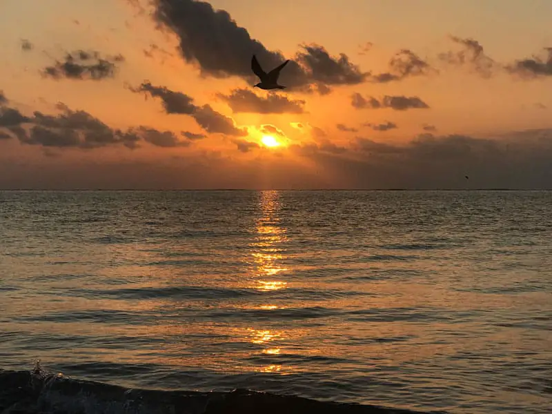 Holbox-island-sunset