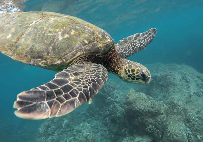 Dry-Tortugas-National-Park