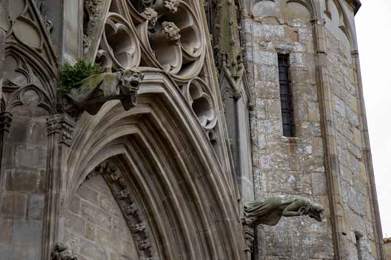 Carcassonne-gargoyle