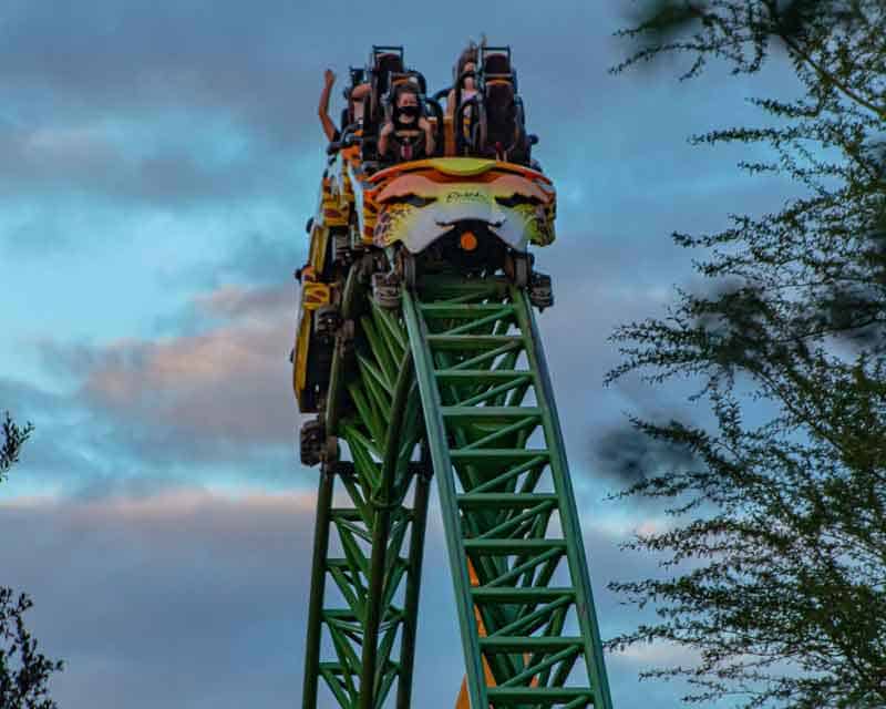 Busch-Gardens