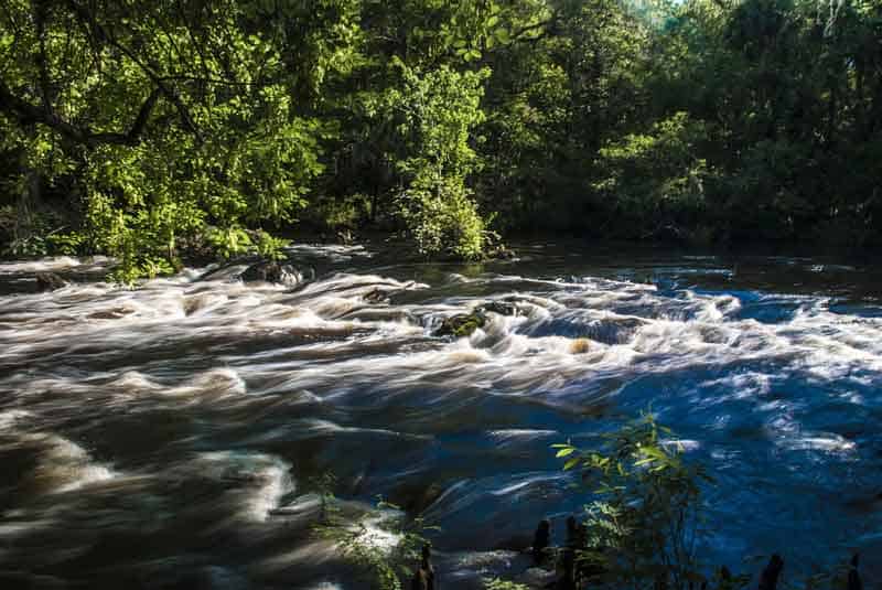 Hillsborough-River-State-Park