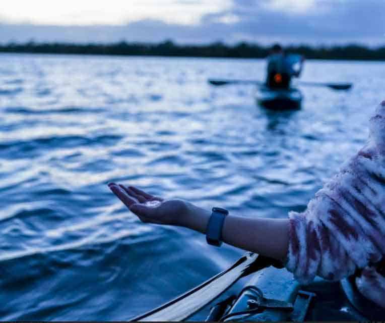 Orlando-Bioluminescence-Kayak-Tour