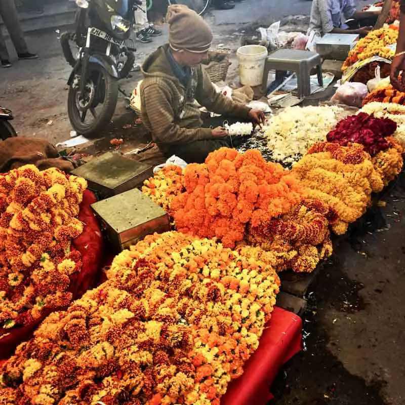 Marigold Garlands India