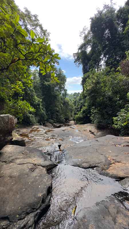 Rainforest Location of Waterfall