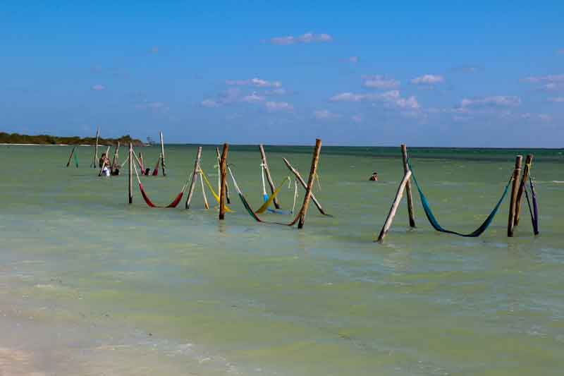 Playa-Punta-Cocos-Hammocks-in-the-Sea