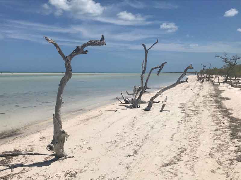 Secluded-Beach